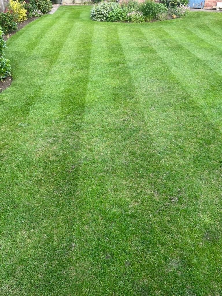 Handy Steve's completed work 27